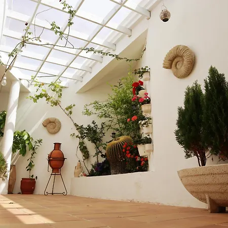 Szálloda Mision Costa