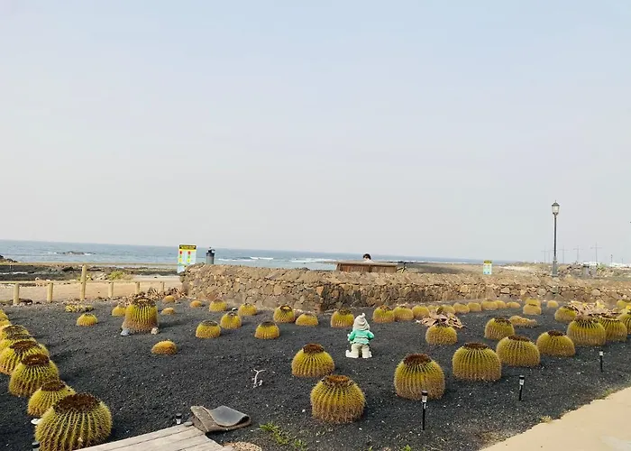 Mision Costa Corralejo