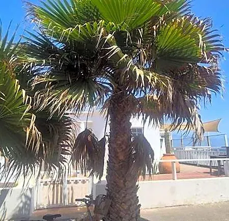 Hotell Mision Costa 4*
