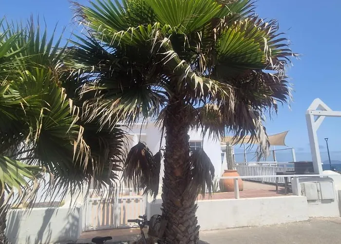 Mision Costa Otel 4*